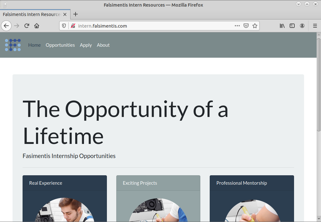 Screenshot of intern.falsimentis.com site with text "The Opportunity of a Lifetime"
