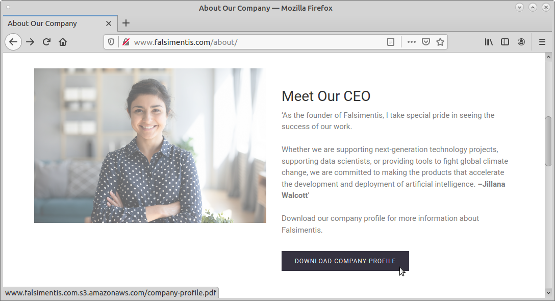 Falsimentis Main Website, Pointer Over Download Company Profile Button