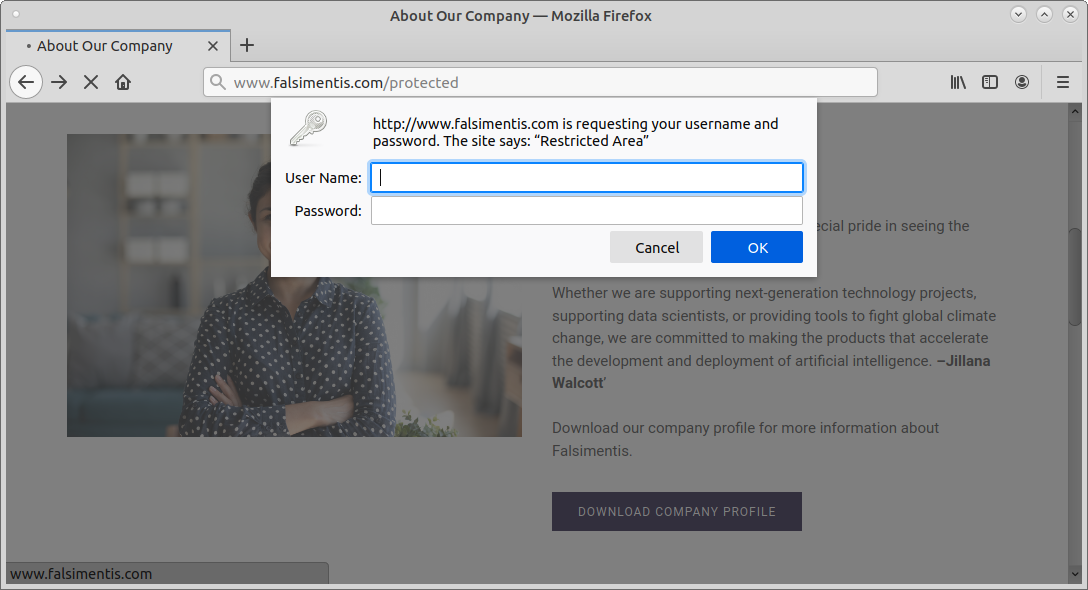 Falsimentis Main Website, HTTP Basic Authentication Displays when accessing protected portion of the directory
